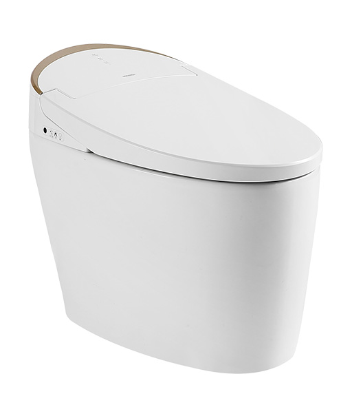 202099161312068 202099161312068