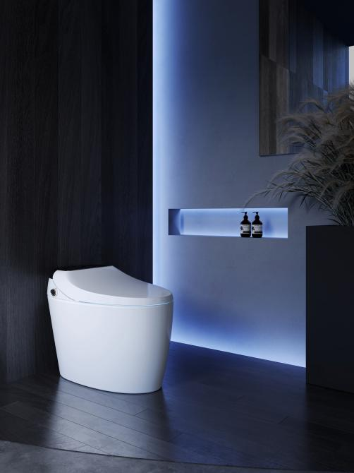 國(guó)產(chǎn)智能馬桶品牌推薦 國(guó)產(chǎn)智能馬桶品牌推薦